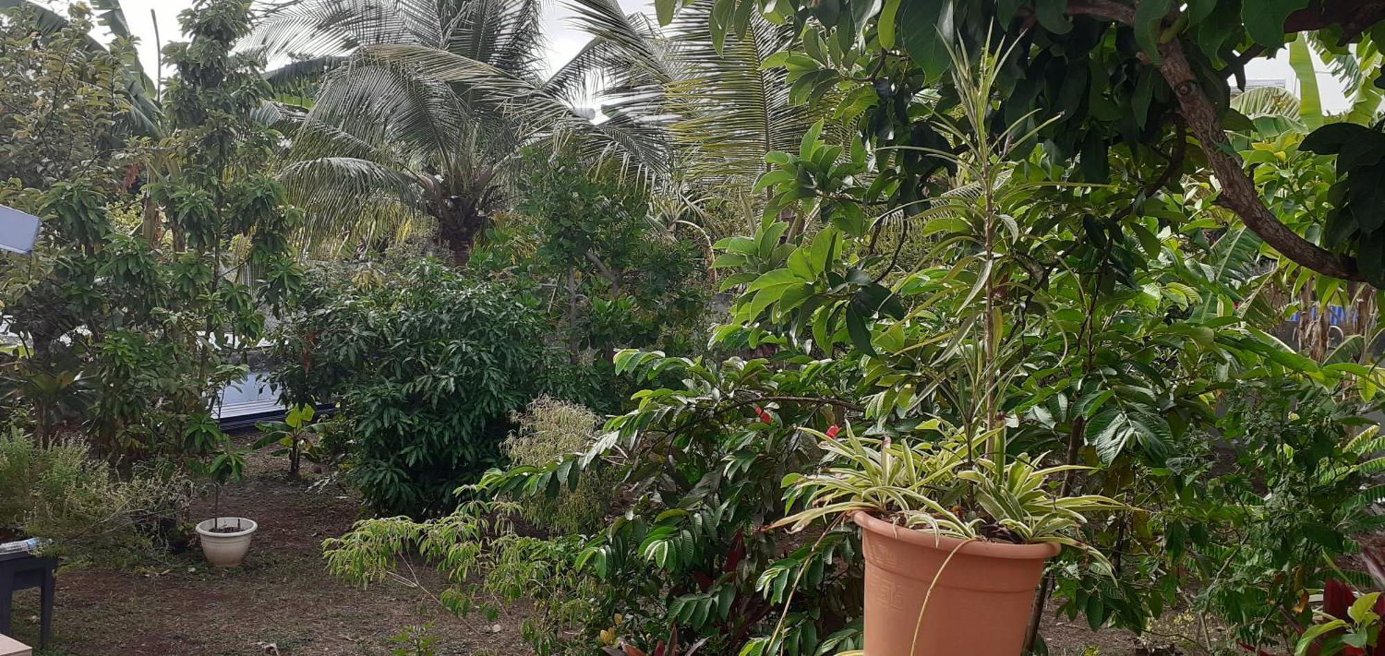 Le P'Tit Nid Cocodydy Apartamento Baillif Exterior foto